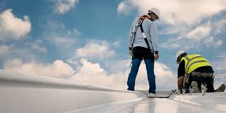 Best Roof Maintenance and Cleaning  in Swansboro, NC